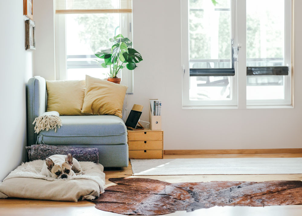 happy home owner